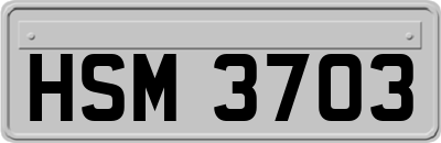 HSM3703