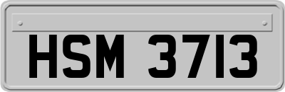 HSM3713