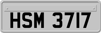 HSM3717