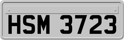 HSM3723