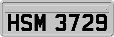 HSM3729