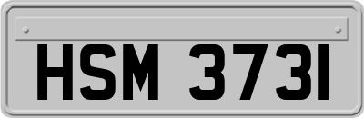 HSM3731