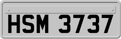 HSM3737