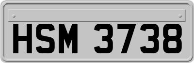 HSM3738
