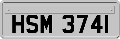 HSM3741