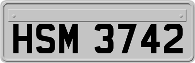 HSM3742