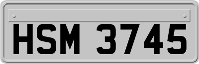 HSM3745
