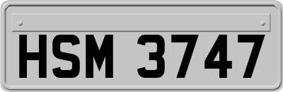 HSM3747