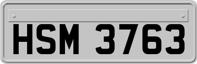 HSM3763