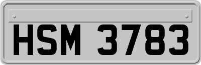 HSM3783