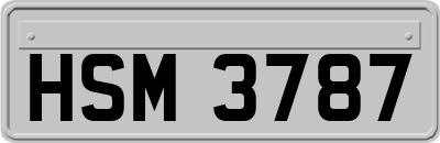 HSM3787