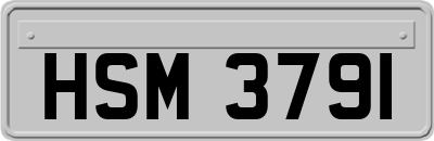 HSM3791