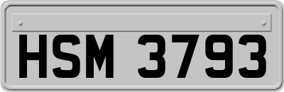 HSM3793