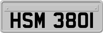 HSM3801