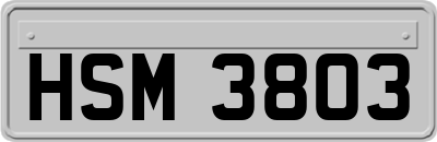 HSM3803