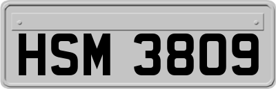 HSM3809