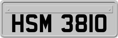 HSM3810