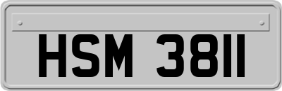 HSM3811