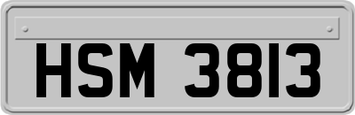 HSM3813