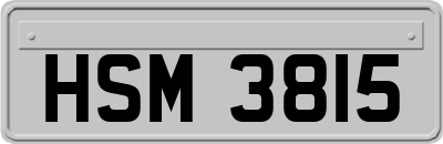 HSM3815