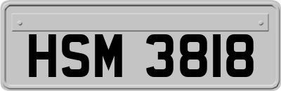 HSM3818