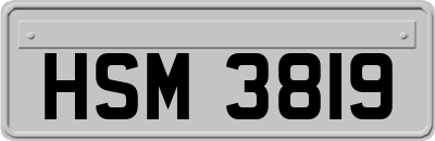 HSM3819
