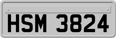 HSM3824