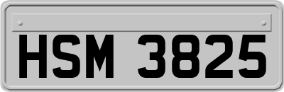 HSM3825
