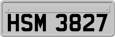 HSM3827