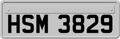 HSM3829