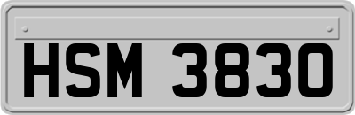 HSM3830