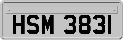 HSM3831