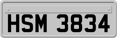 HSM3834