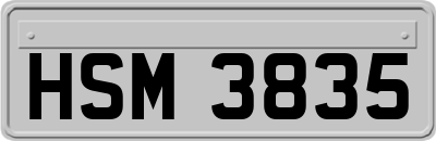 HSM3835