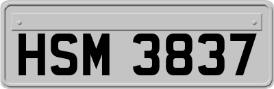 HSM3837