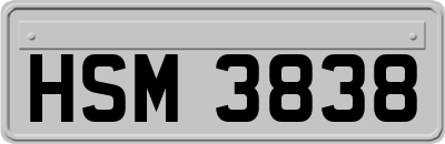 HSM3838