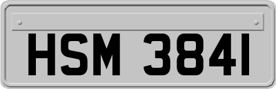HSM3841