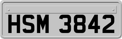HSM3842