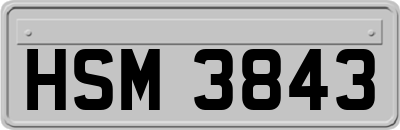 HSM3843