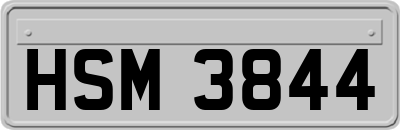 HSM3844