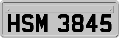 HSM3845