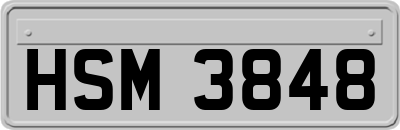 HSM3848