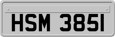 HSM3851