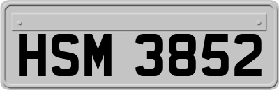 HSM3852