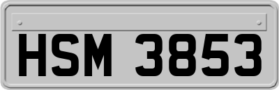 HSM3853