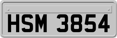 HSM3854