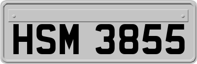HSM3855
