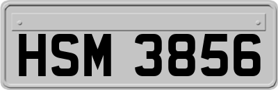 HSM3856