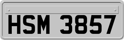 HSM3857