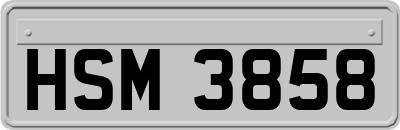 HSM3858